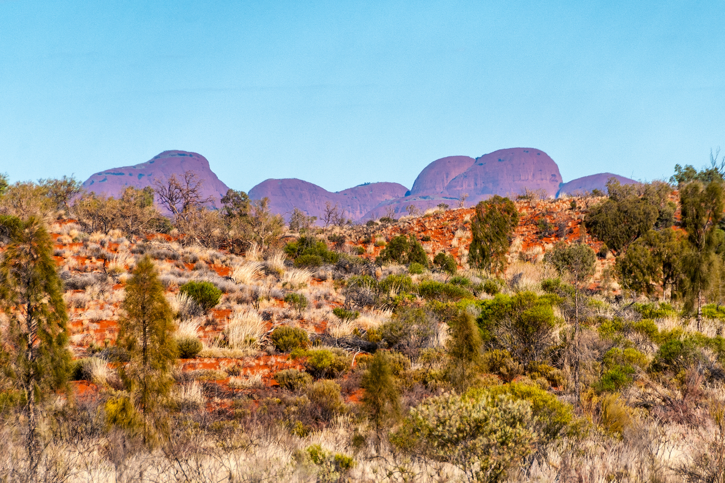 nitmiluk national park, northern territory (3).webp